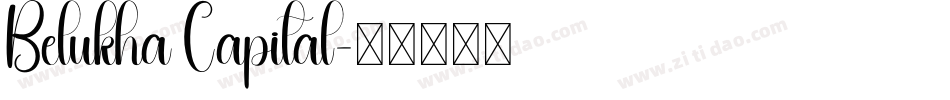 Belukha Capital字体转换